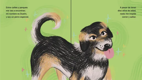 Perro, Perro_01
